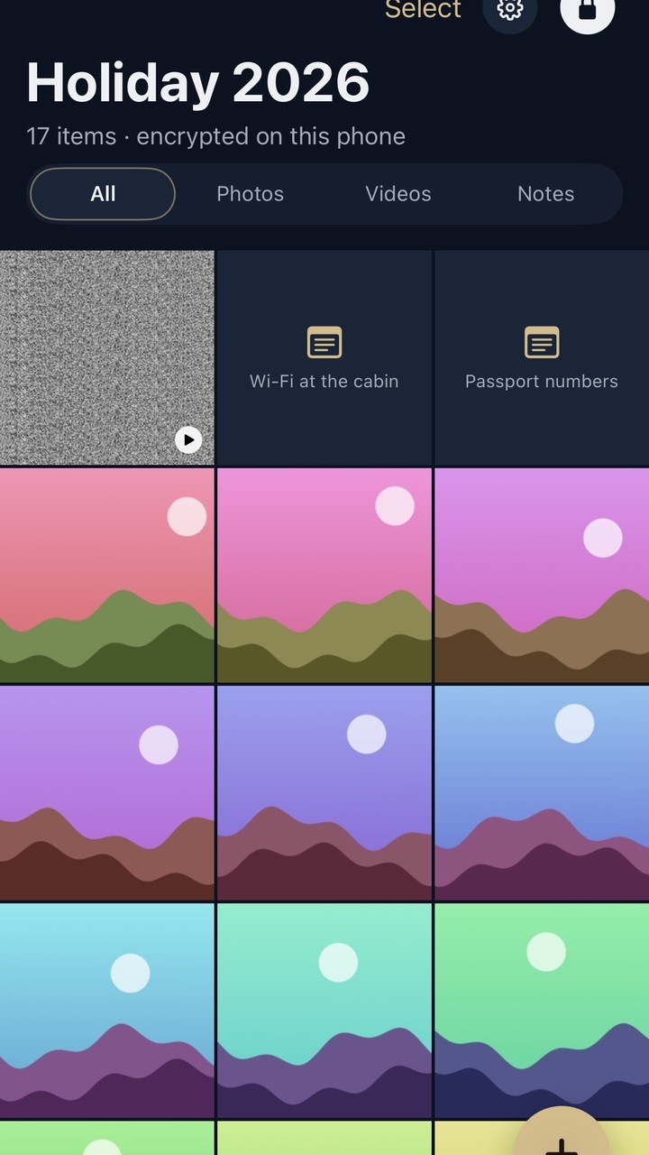 VaultWell on iPhone: a vault grid of photos and videos with a filter for photos, videos and notes
